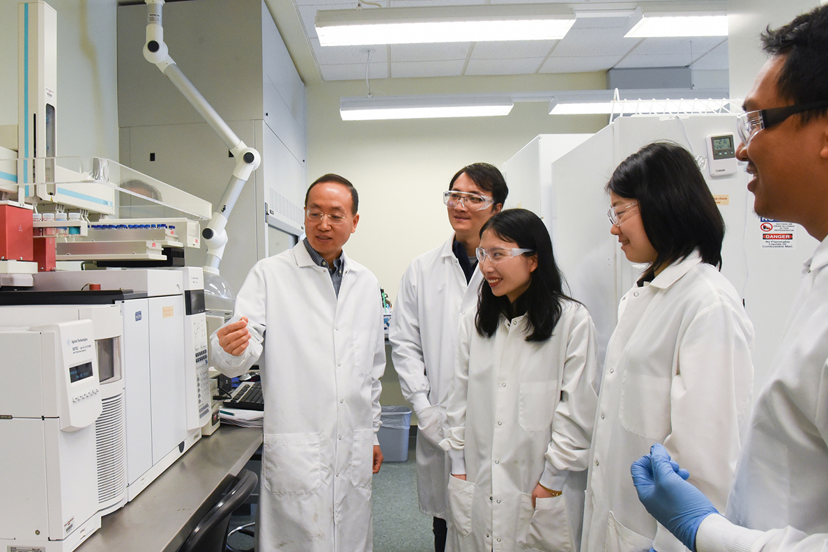 WSU researchers creating catalyst to improve jet biofuel production | WSU  Insider | Washington State University
