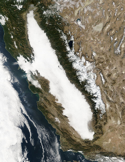 Falling levels of air pollution drove decline in California’s tule fog